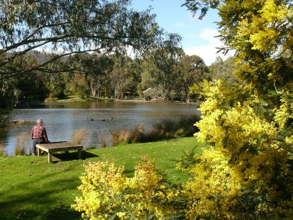 The Burrow At Wombat Bend Villa Dixons Creek ห้อง รูปภาพ