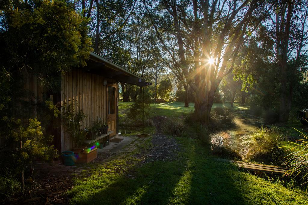 The Burrow At Wombat Bend Villa Dixons Creek ภายนอก รูปภาพ