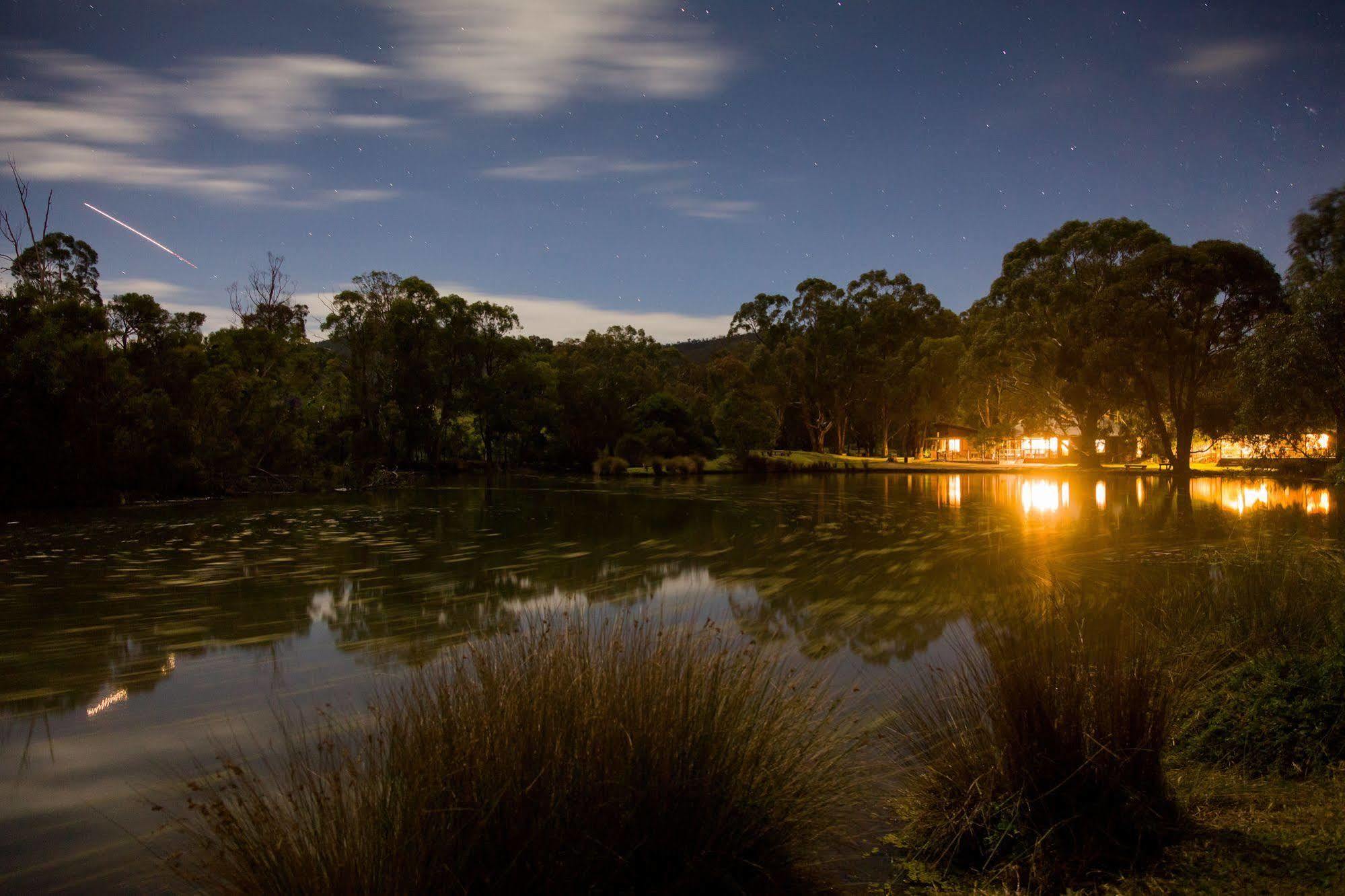 The Burrow At Wombat Bend Villa Dixons Creek ภายนอก รูปภาพ
