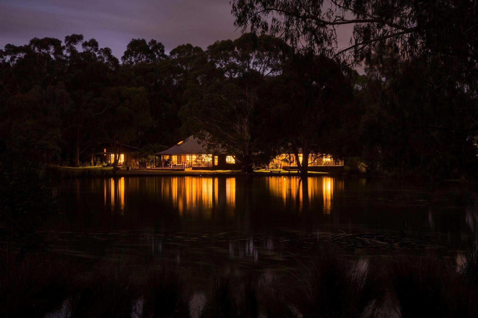 The Burrow At Wombat Bend Villa Dixons Creek ภายนอก รูปภาพ