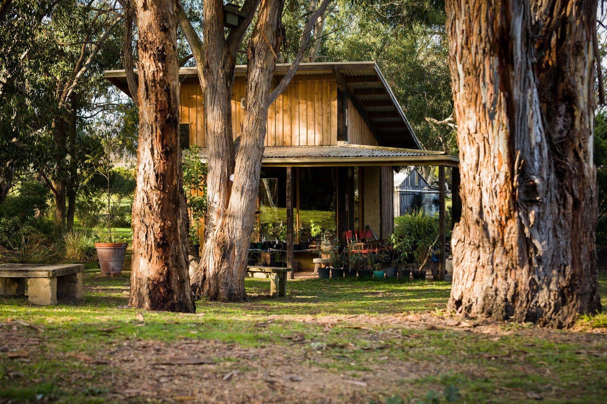 The Burrow At Wombat Bend Villa Dixons Creek ภายนอก รูปภาพ