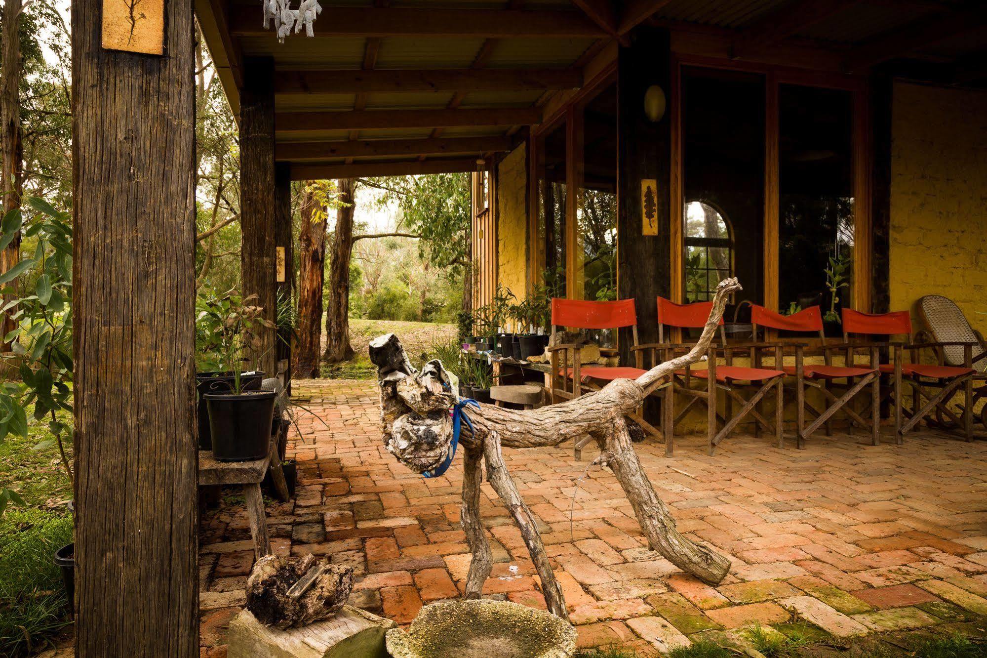 The Burrow At Wombat Bend Villa Dixons Creek ภายนอก รูปภาพ