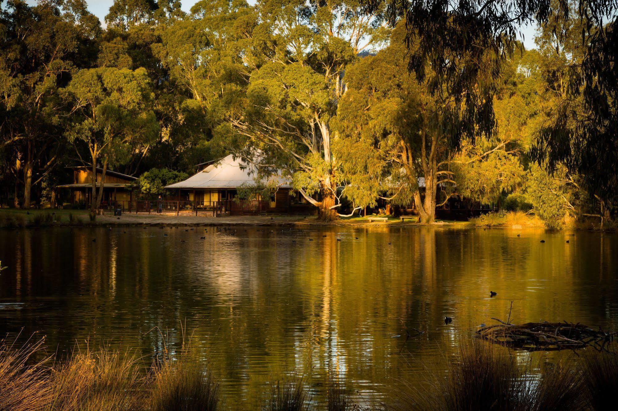 The Burrow At Wombat Bend Villa Dixons Creek ภายนอก รูปภาพ